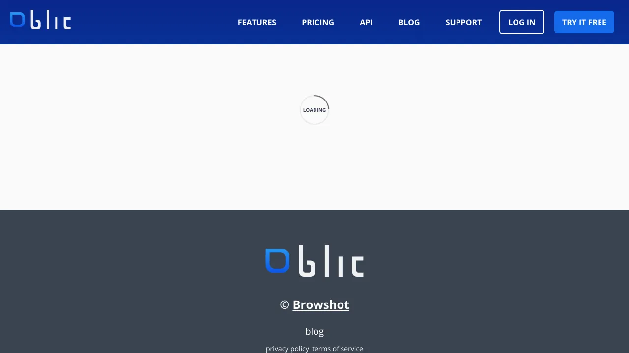 Screenshot of Blitapp website