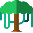Favicon of Canopy