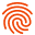 Favicon of FingerprintJS Pro