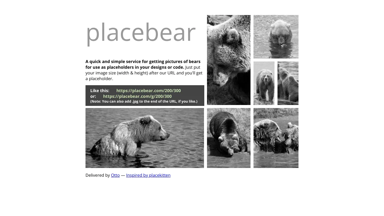 Screenshot of PlaceBear website