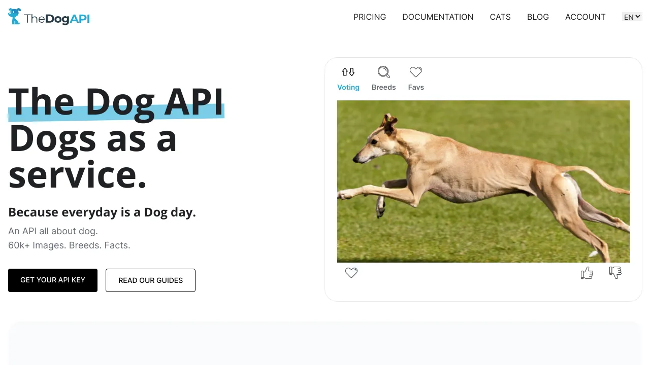 Screenshot of TheDogAPI website